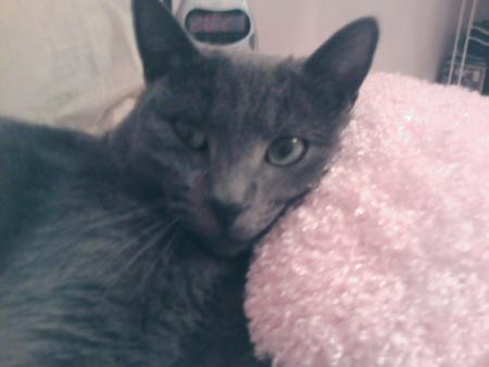mON CHAt 